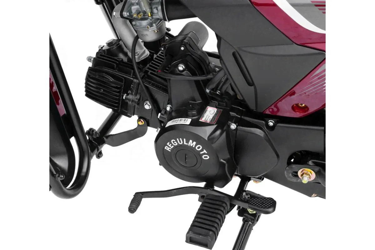 Мопед Regulmoto Alpha 110 (RM-2)-0