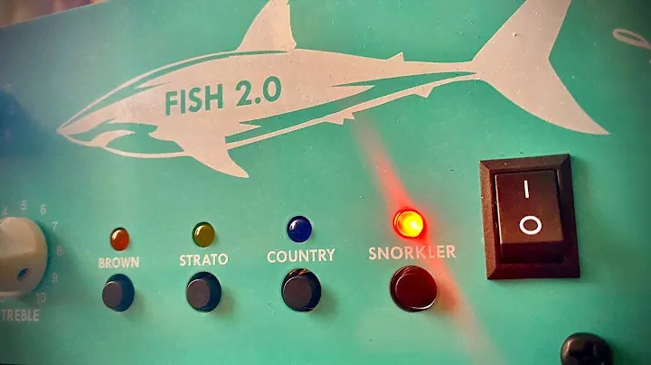 Myasnikov Fish 2.0 "SNORKLER"  preamp // ribbon mic RM BIV-1