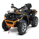 Квадроцикл RM 800 DUO EPS